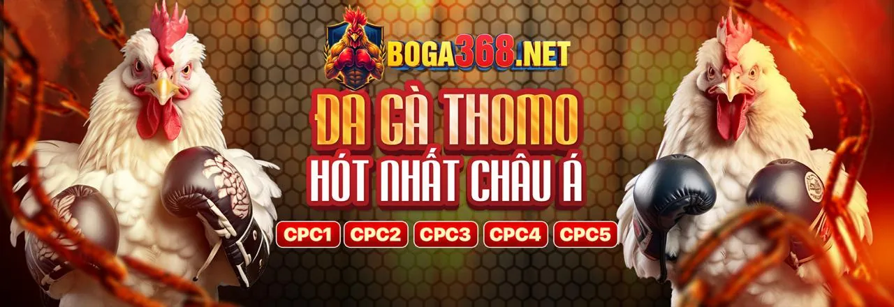 Đá gà trực tuyến kịch tính tại PBV88 App